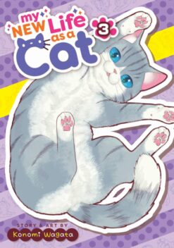 My new life as a cat 3.