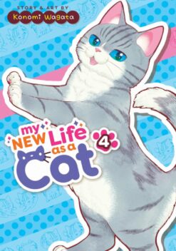 My new life as a cat 4.