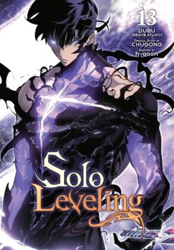 Solo leveling 13.
